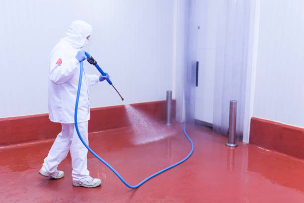 Trusted Sumiton, AL Pressure Washing Services Experts
